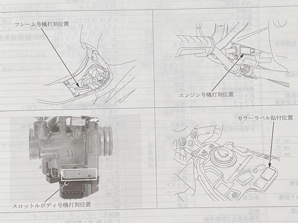 Amazon.co.jp: ホンダ(HONDA) スーパーカブ110/スーパーカブ110