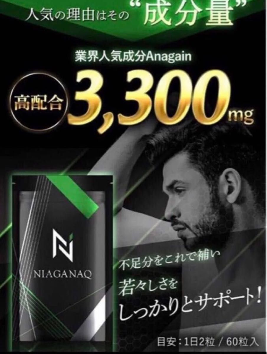 【Anagain(アナゲイン) x ノコギリヤシ】NIAGANAQ男性向けサプリメント3個セット 60粒x3   3ヶ月分