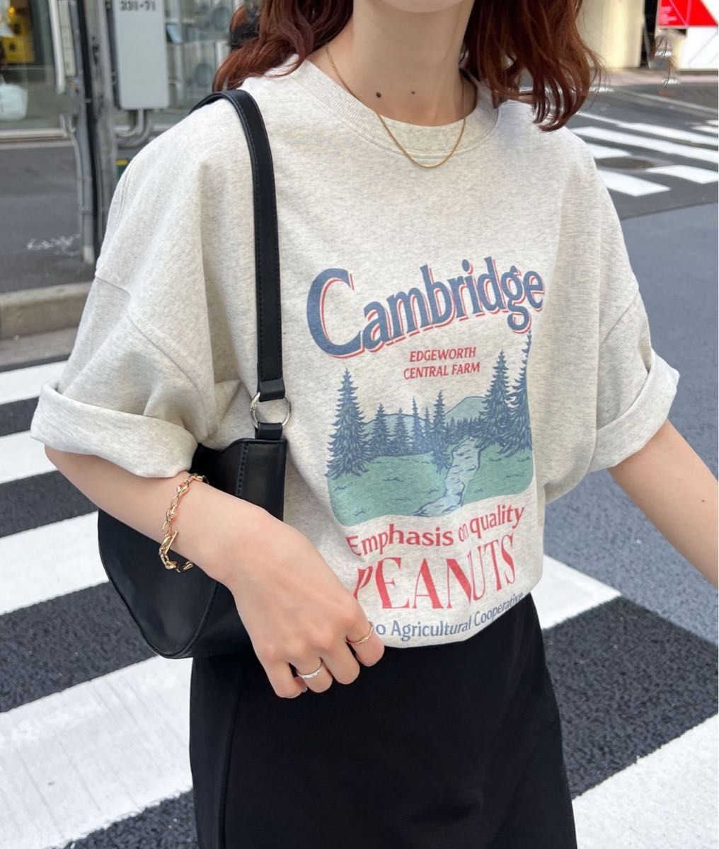 CamBridgeスーベニアビックTシャツ　ライトベージュ