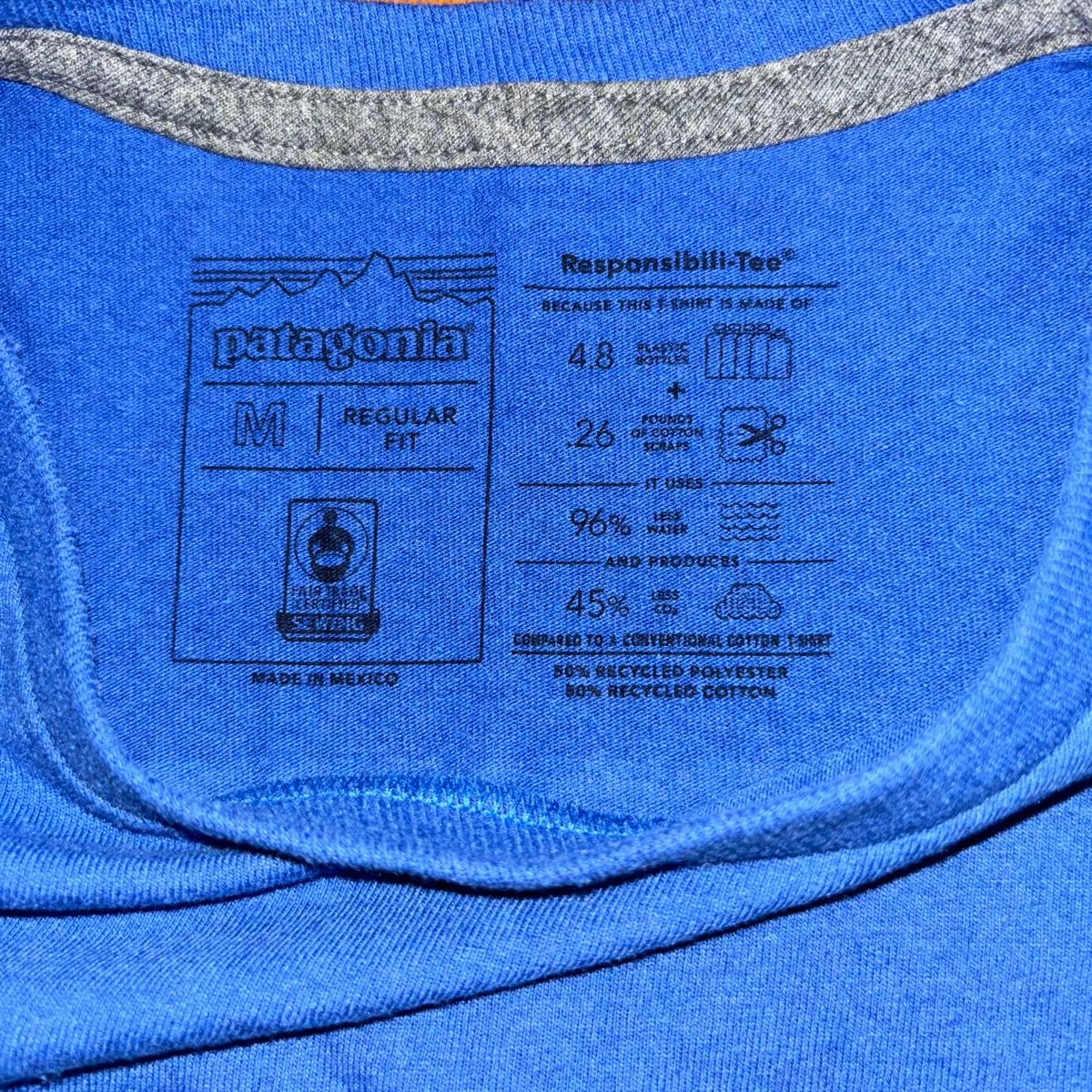 patagonia パタゴニア Tシャツ ラインロゴリッジポケットレスポンシビリTee M