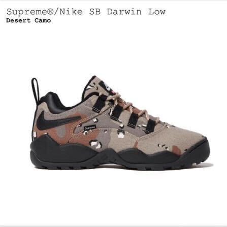 Supreme Nike SB Darwin Low シュプリーム ナイキ エスビー ダーウィン ロー Desert Camo デザート カモ 27.5㎝ 国内正規品 新品未使用 ②_画像2