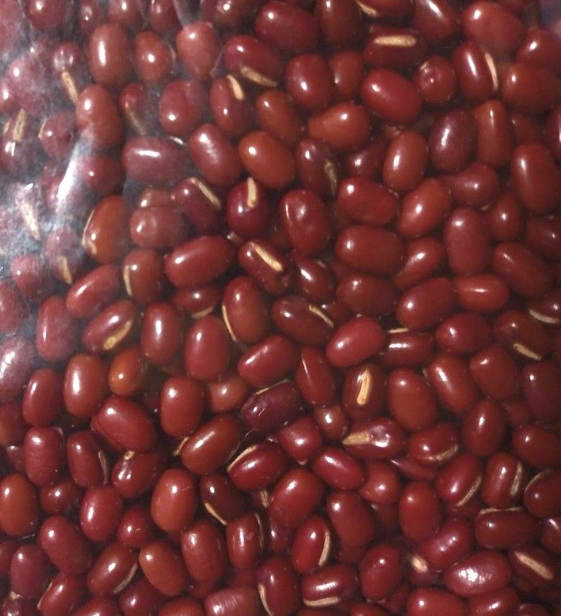 小豆　乾燥小豆　長野県産小豆　1.5kg　2023年産　新豆