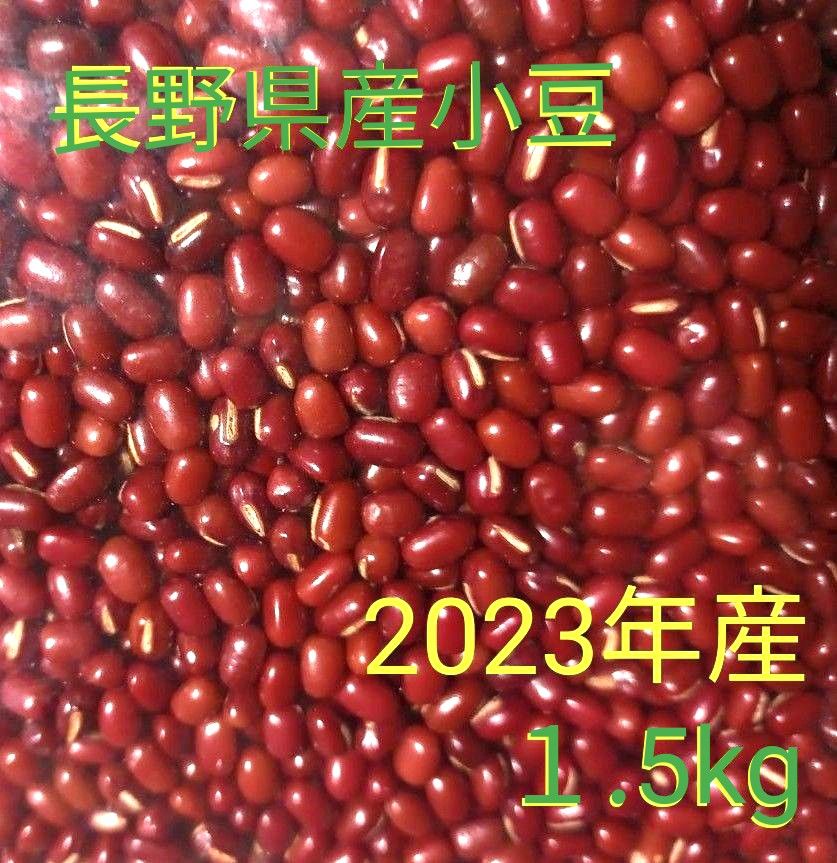 小豆　乾燥小豆　長野県産小豆　1.5kg　2023年産　新豆