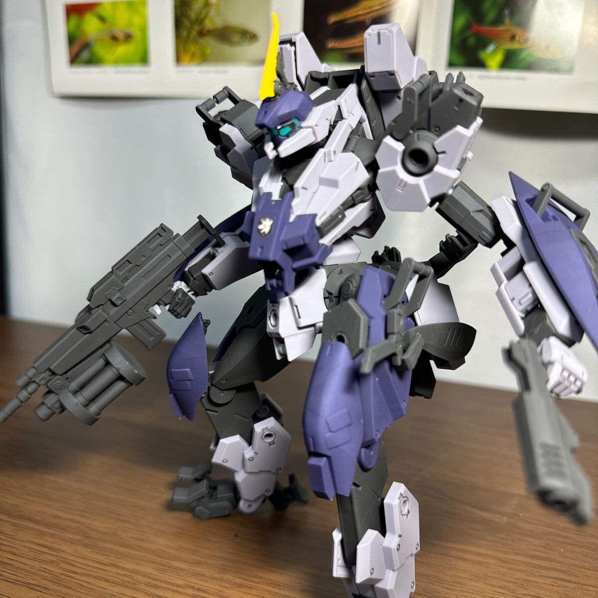 HG メイレスプロトゴウヨウ　完成品　境界戦機_画像5