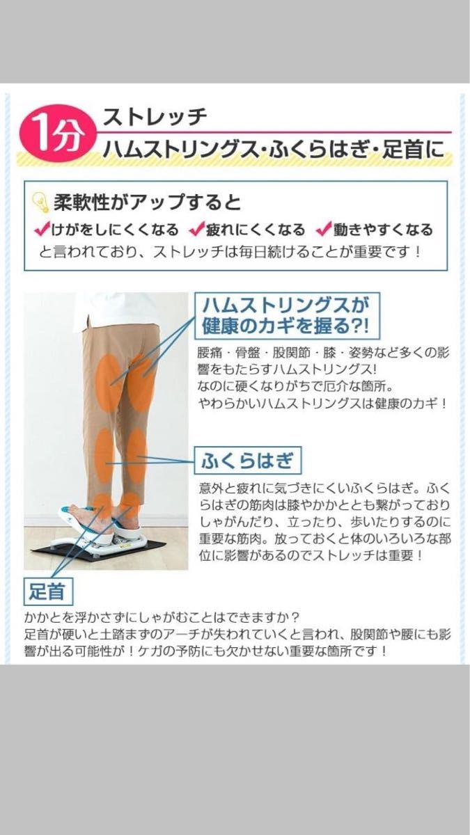 エアロライフ(AEROLIFE) ステッパー モーションナビ DR-3830 静音 足踏み健康器具 ステッパー 