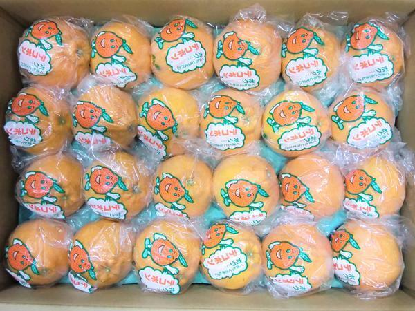 [Good] remainder a little!JA Kumamoto fruits ream Kumamoto production deco pon low temperature . warehouse 18~24 sphere approximately 5kg