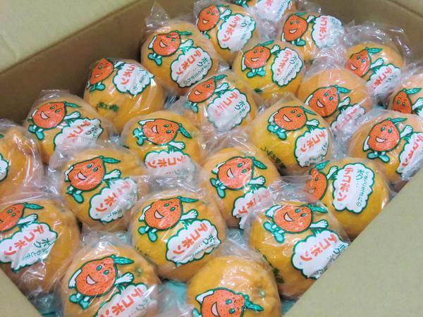 [Good] remainder a little!JA Kumamoto fruits ream Kumamoto production deco pon low temperature . warehouse 18~24 sphere approximately 5kg