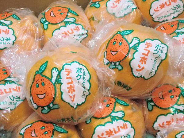 [Good] this season last!JA Kumamoto fruits ream Kumamoto production deco pon low temperature . warehouse 18~24 sphere approximately 5kg limitation 2 box 