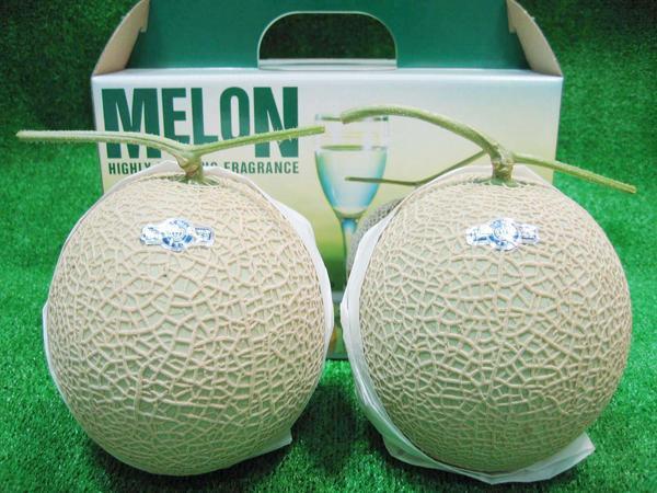 [Good] Shizuoka Crown melon large sphere 2 sphere 4~4.5kg vanity case entering reservation 