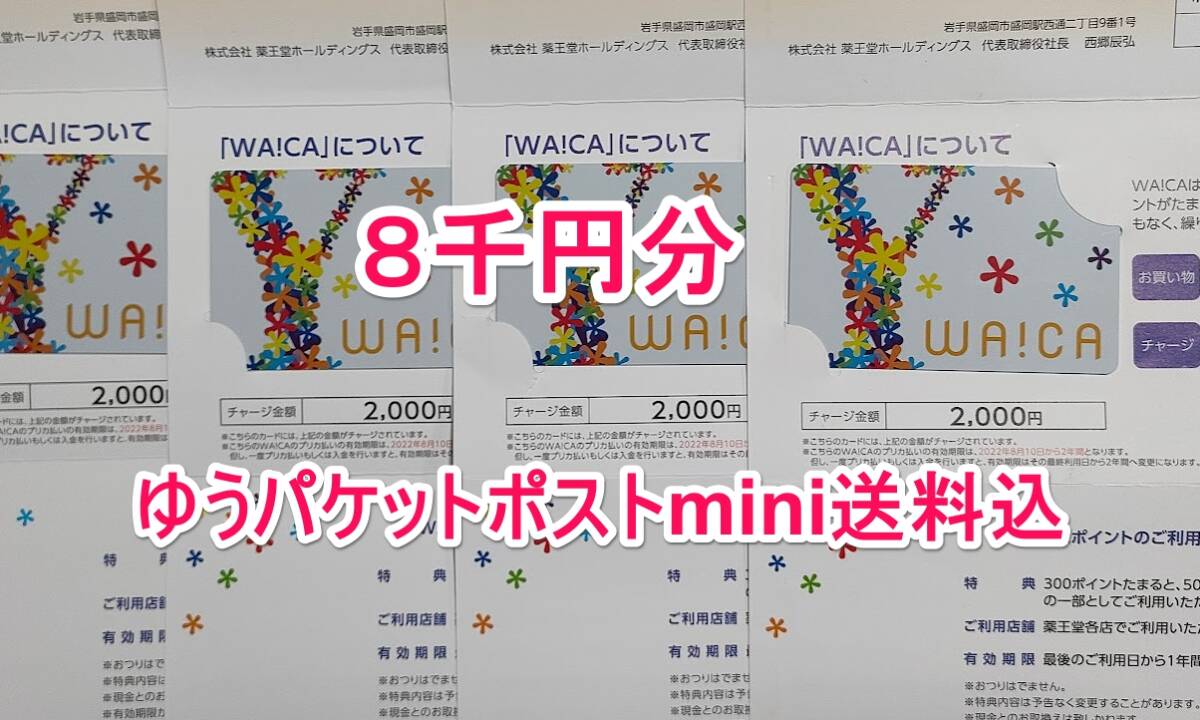 8千円分 WA!CA 薬王堂 株主優待券 ゆうパケットポストmini送料込 ワイカ_画像1