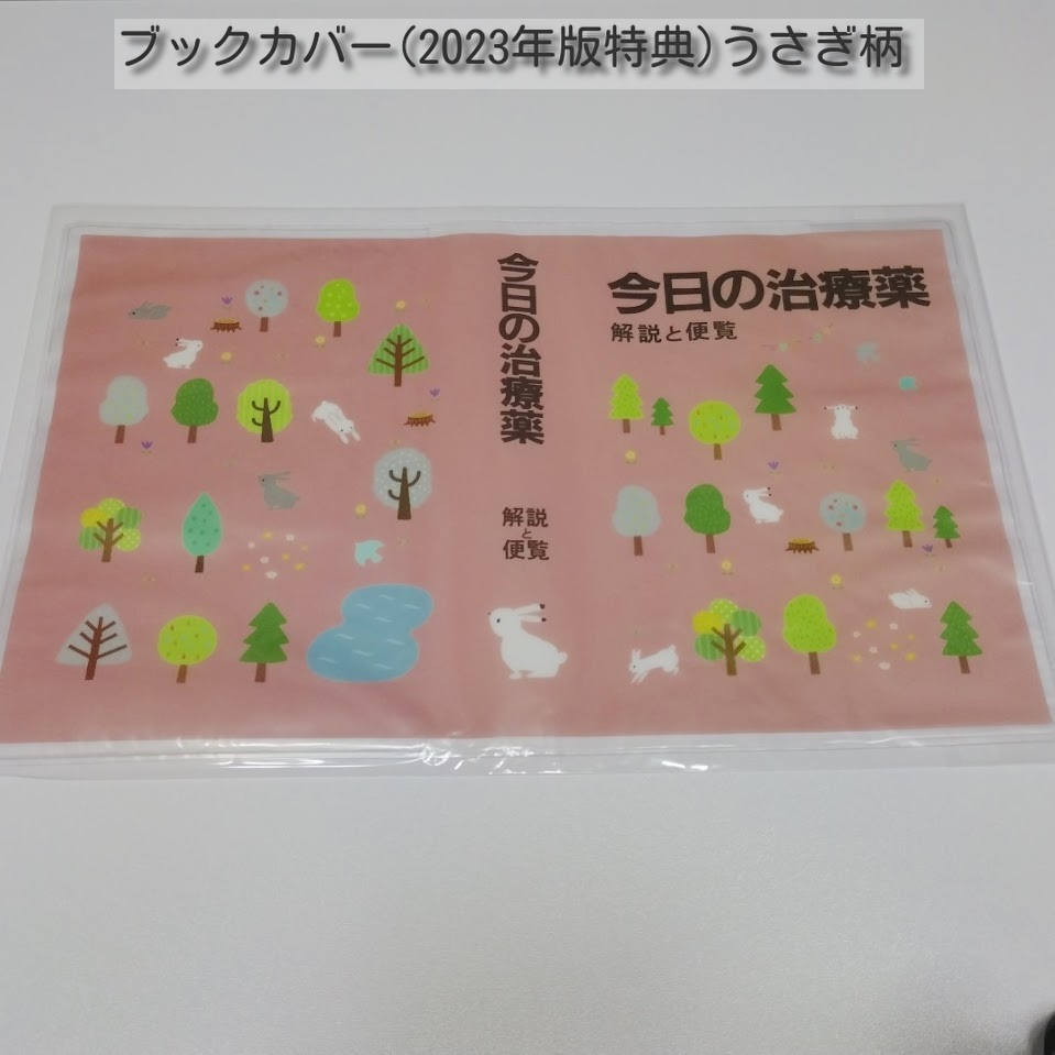 今日の治療薬2024 （クリアファイル、ブックカバー、いずれか1枚付） 未使用 新品 送料無料_画像6