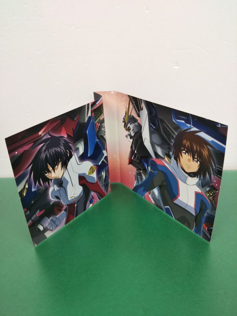 CD+DVD / MOBILE SUIT GUNDAM SEED DESTINY COMPLETE BEST / Music Ray*n / SMCL-111-2 / [M005]