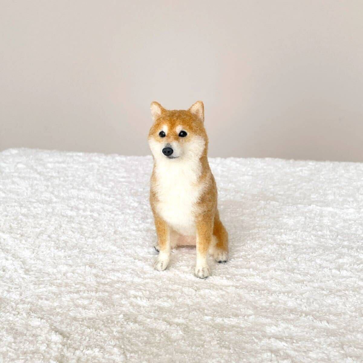 ぴのきち☆10.0cmの柴犬さん☆羊毛フェルト 犬 柴犬 柴 赤柴 豆柴 日本犬 ドールハウス ミニチュア ハンドメイド_画像6