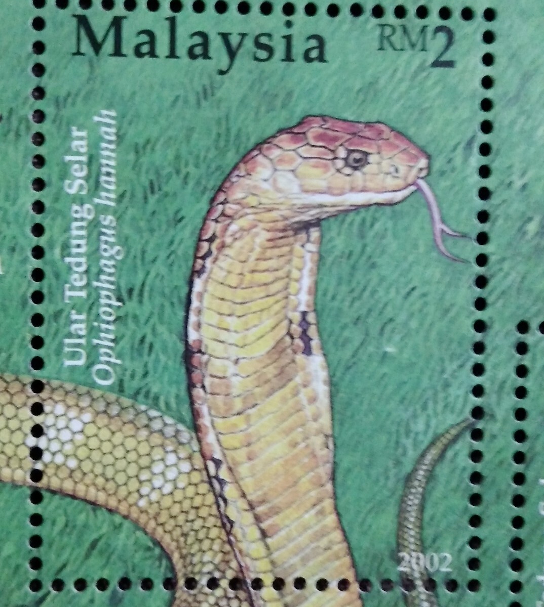 マレーシア　2002 コブラ　小型シート　爬虫類　ヘビ　生き物　動物　キングコブラ　未使用糊あり_画像3