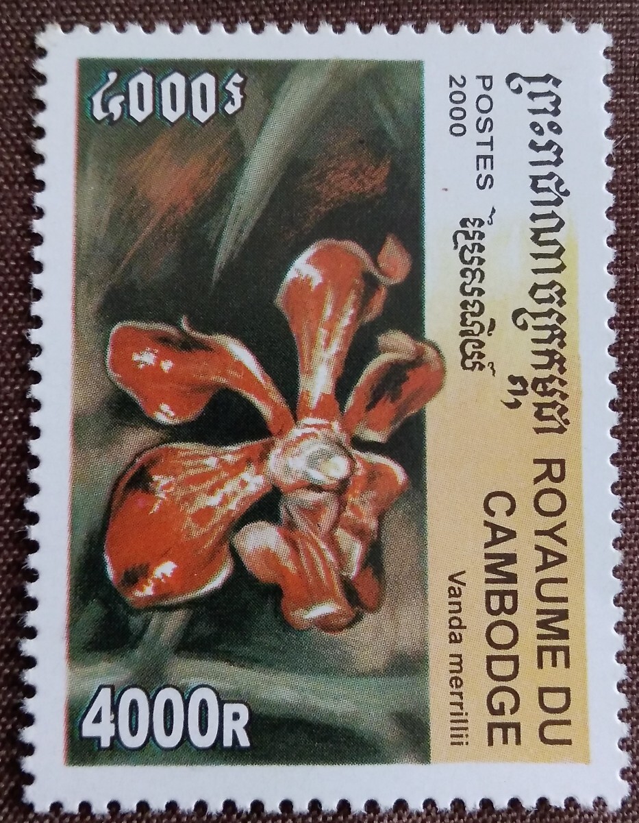 カンボジア　2000 蘭　6完 ラン　花　植物　自然　未使用糊なし_画像8