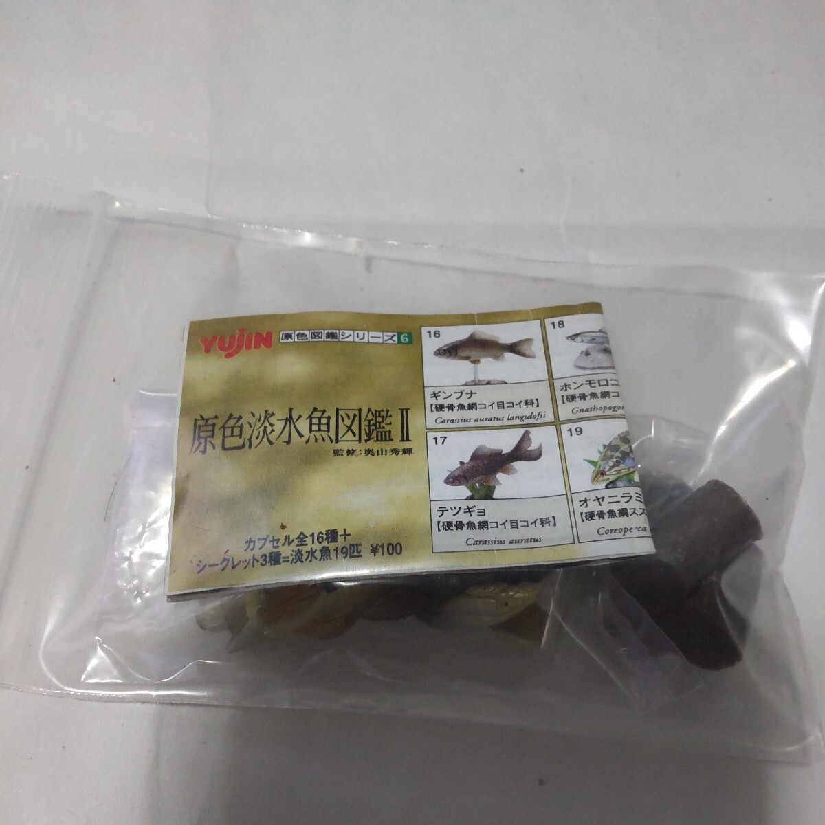 5712円 原色淡水魚図鑑Ⅱノーマル16種シークレット3種全19 5712円 原色淡水魚図鑑Ⅱノーマル16種シークレット3種全19