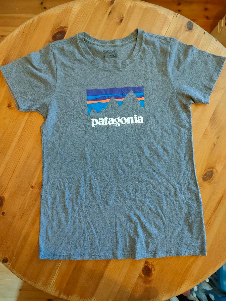 【古着】patagonia(パタゴニア)/半袖Tシャツ/Mサイズ/グレー色
