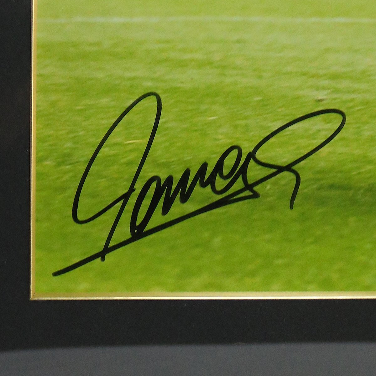 Fernando Torres フェルナンド・トーレス　額装・サイン入りフォト（リヴァプールFC）_画像3