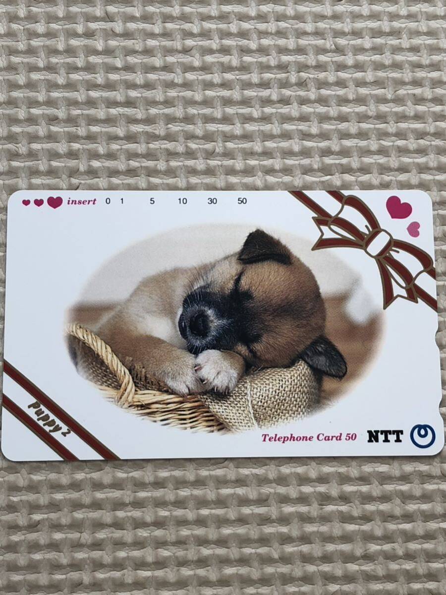 【未使用】テレホンカード　子犬　居眠り_画像1
