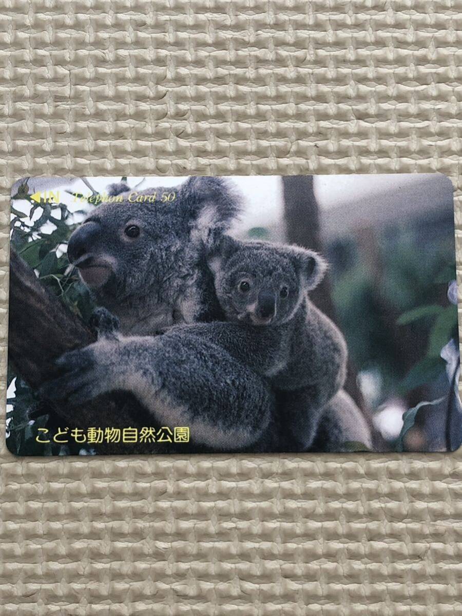 【未使用】テレホンカード　コアラ　こども動物自然公園_画像1