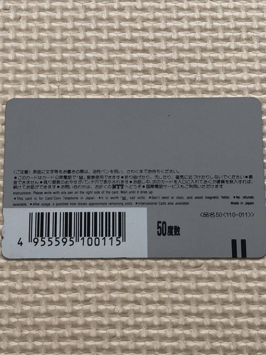 【未使用】テレホンカード　人と鳥の共存をめざして　我孫子市鳥の博物館　市の鳥　オオバン　_画像2