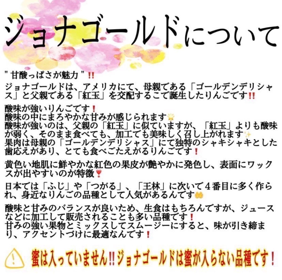 ＂ ジョナゴールド ＂【青森県産りんご20kg】【産地直送】【即購入OK】【送料無料】加工用 りんご リンゴ  林檎