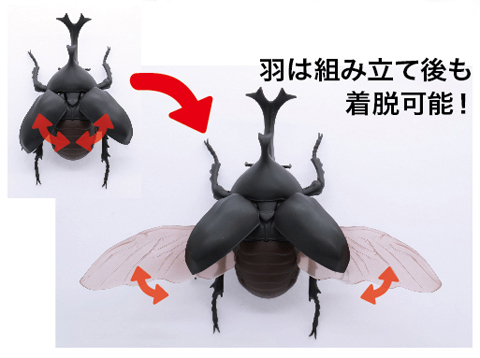  Fujimi free research 21. kimono compilation rhinoceros beetle 