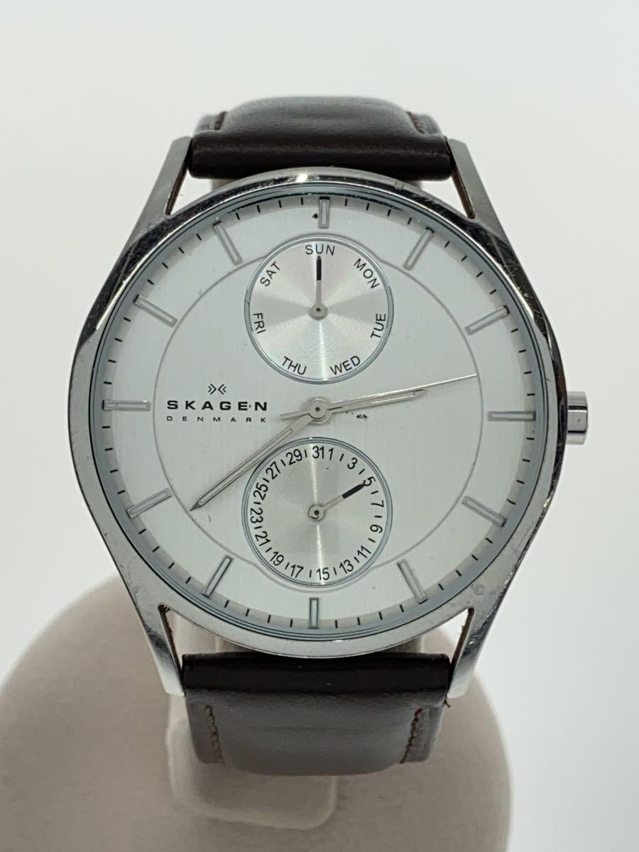 SKAGEN◆クォーツ腕時計/アナログ/レザー/SLV/BRW_画像1