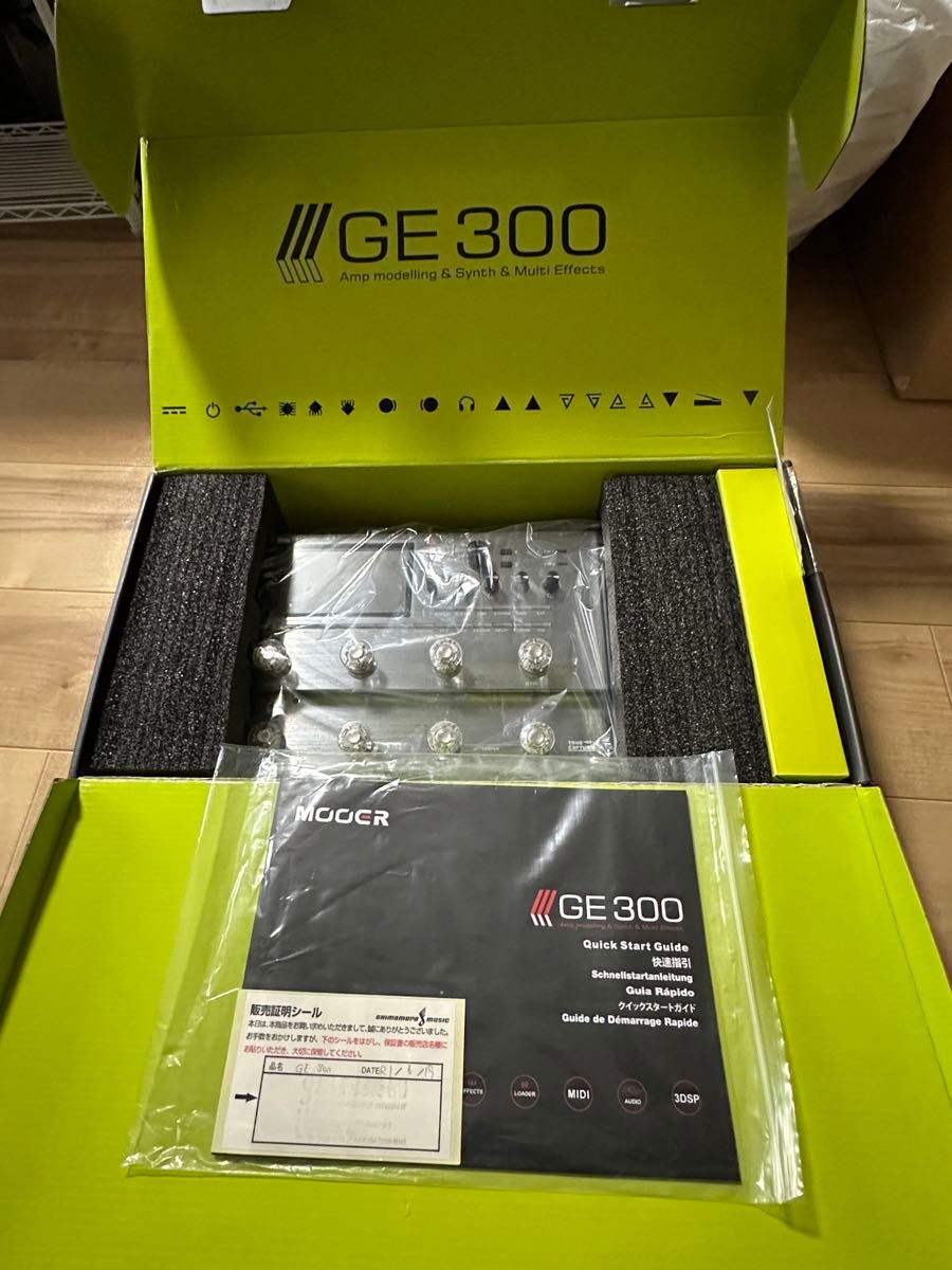 MOOER GE300