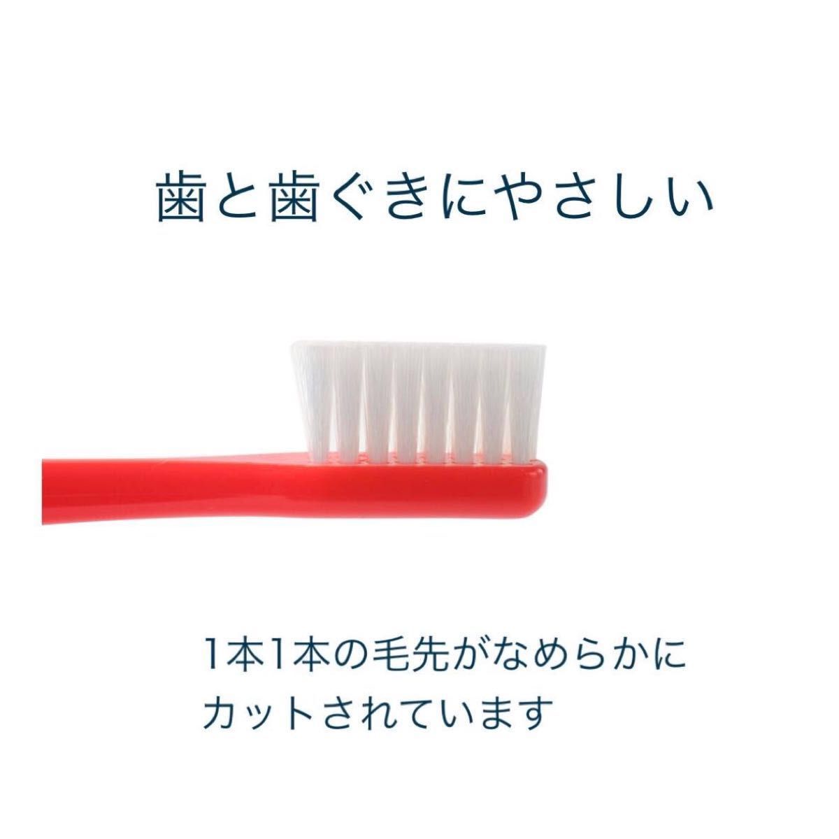 歯ブラシ【タフト24 MS】白色10本セット◇ふつう