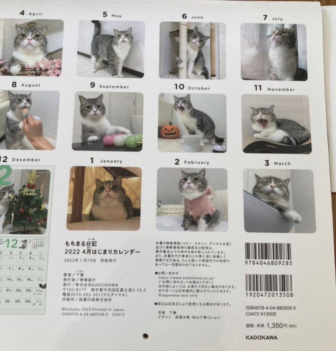 もちまる日記　2022年カレンダー マスキングテープ　フォトブック　セット　猫