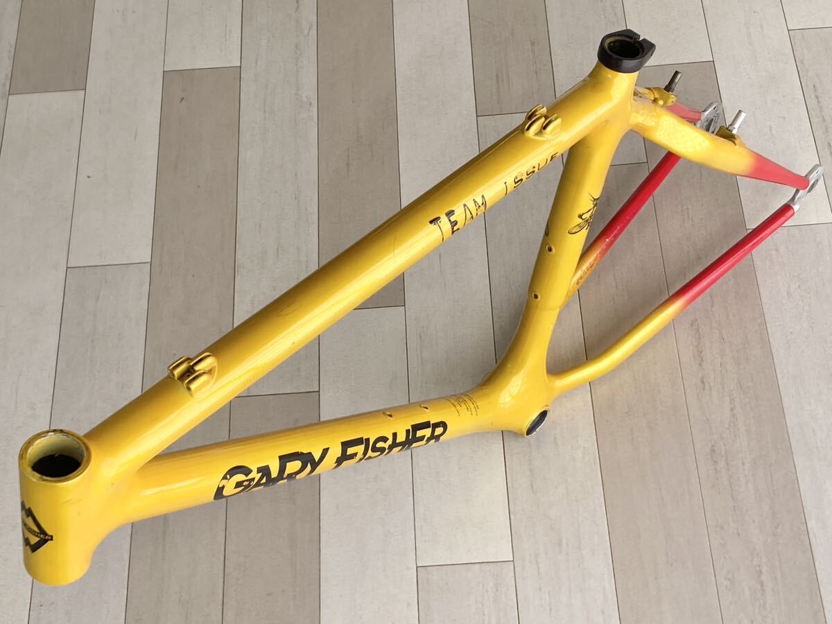 valuable Gary Fisher Team Issue Paola Pazzo Limited Edition valuable Gary Fisher Team Issue Paola Pazzo Limited Edition