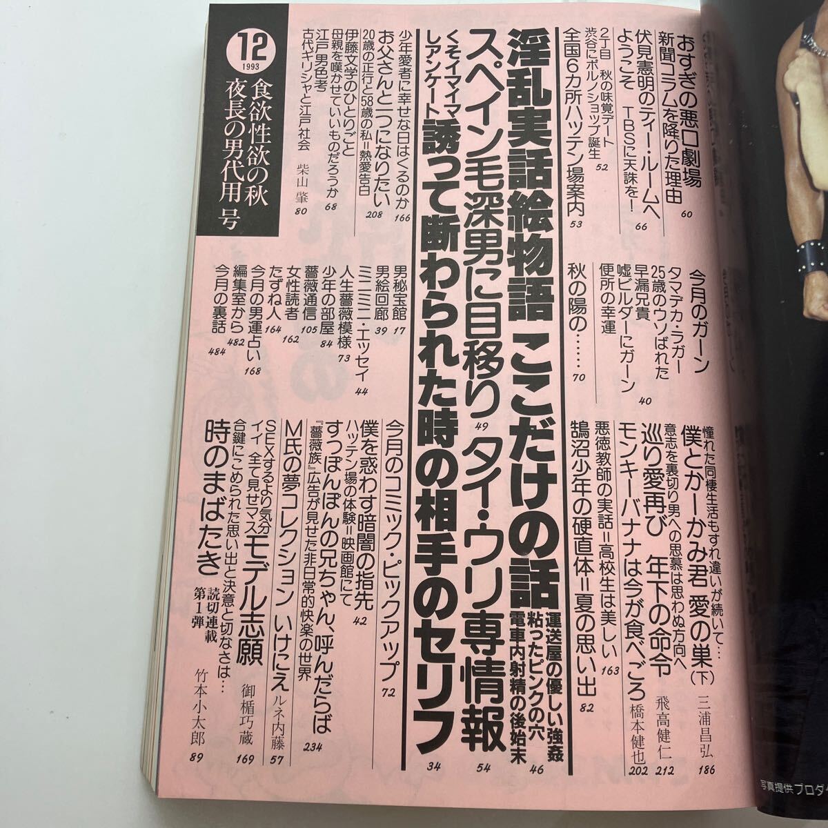 ゲイ雑誌　薔薇族　1993年12月号　 No.251 ゲイコミック　内藤ルネ　柴山肇　竹本小太郎　ホモ　LGBT 同性愛_画像5