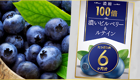  new goods regular goods unused 1 jpy start domestic production [ Toyama ]..100 times .. Bill Berry &ru Tein approximately 6 months minute total 100,000 piece breakthroug blueberry 