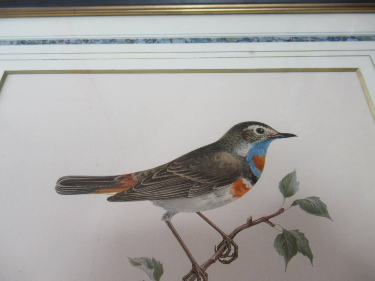 □希少 美品 三越発売 定価3.8万!1871年~ Henry Eeles Dresser □希少 美品 三越発売 定価3.8万!1871年~ Henry Eeles Dresser