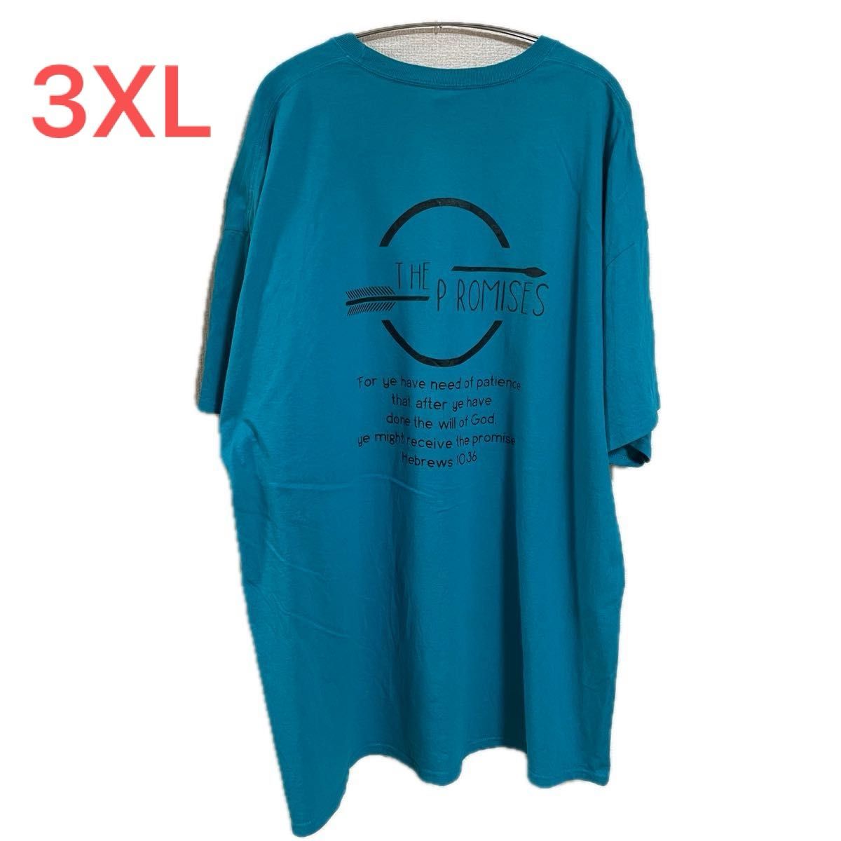 【US古着】ブルー 3XL Tシャツ 半袖 レギュラー プリント メンズ レディース 大きいサイズ オーバーサイズ