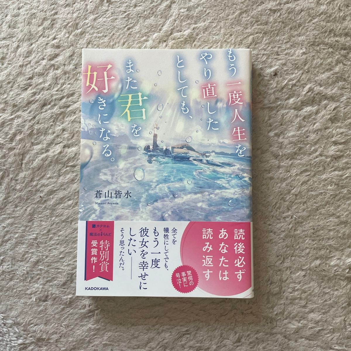 もう一度人生をやり直したとしても、また君を好きになる。 蒼山皆水／著