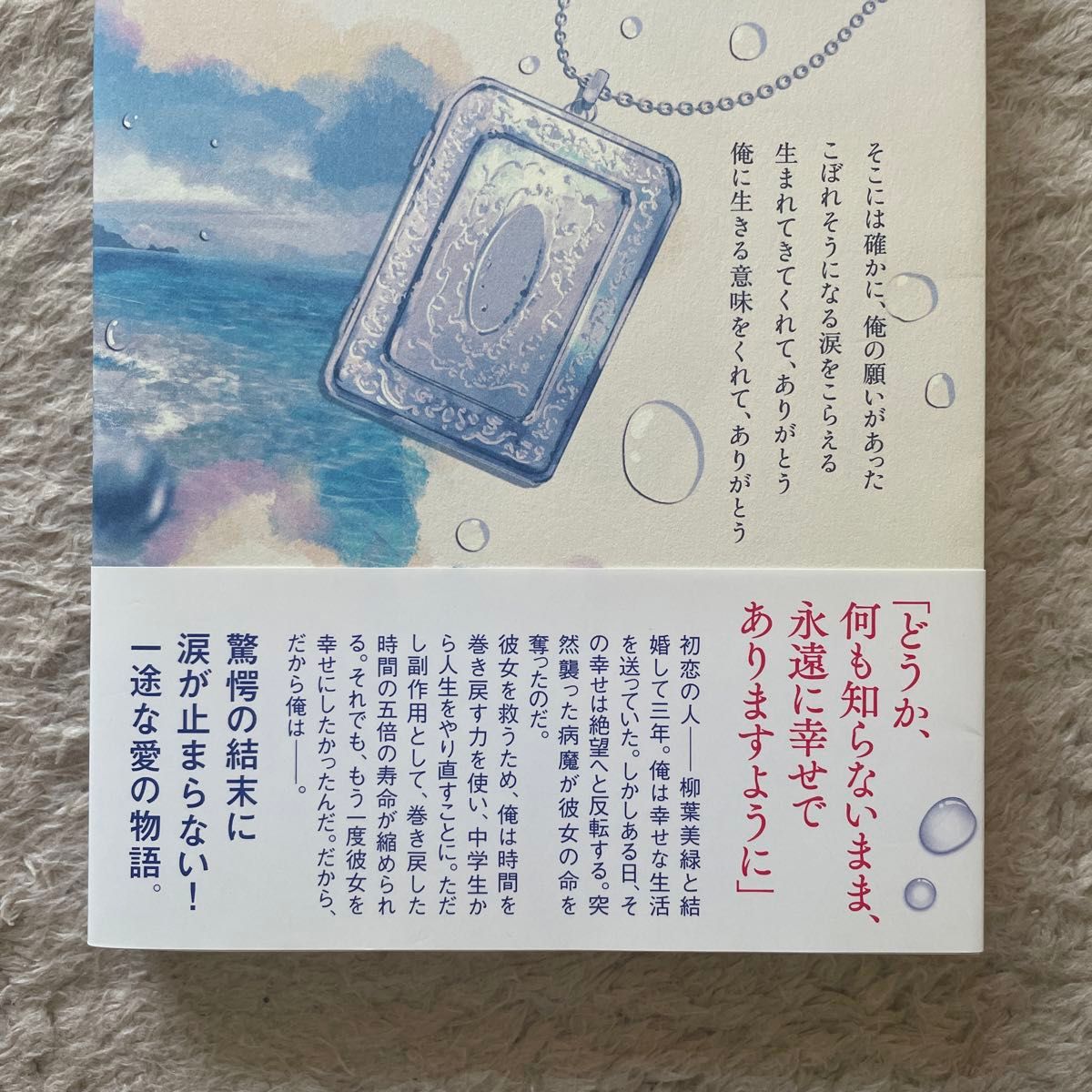 もう一度人生をやり直したとしても、また君を好きになる。 蒼山皆水／著