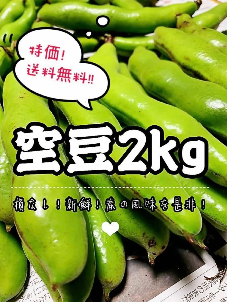 そら豆　2kg