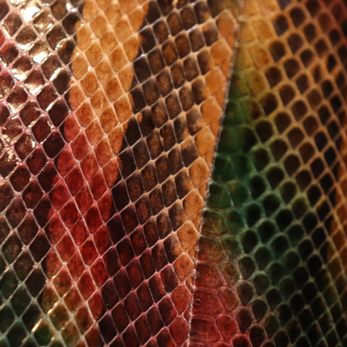 １円スタート ダイヤモンドパイソン レインボー カラフル ハンドバッグ ヘビ 蛇革 スネーク genuine python エキゾチックレザー 1スタ_画像3