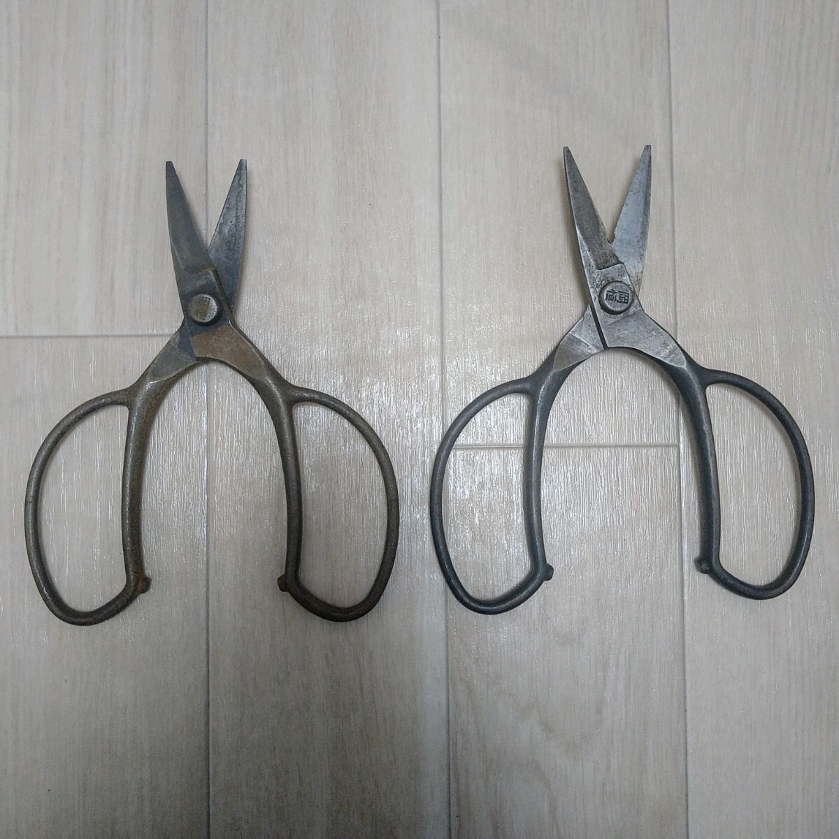  hill . pruning .180mm plant .A type set sale 26 number set 