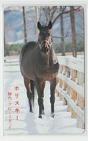 特2-y361 競馬 ホリスキー テレカ_画像1