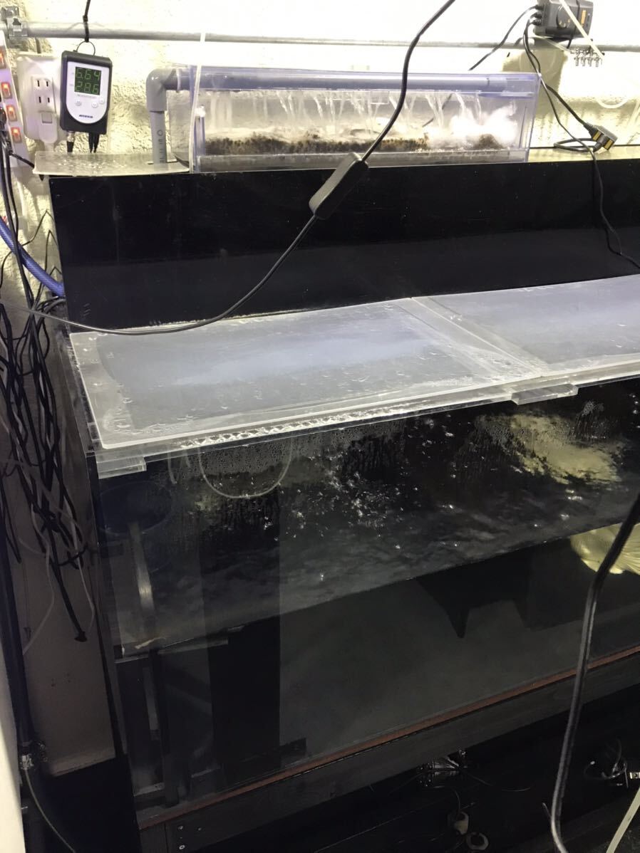  акрил аквариум,... комплект б/у 1800×600×600 10mm Atsugi производства стойка под аквариум H=670 самовывоз 