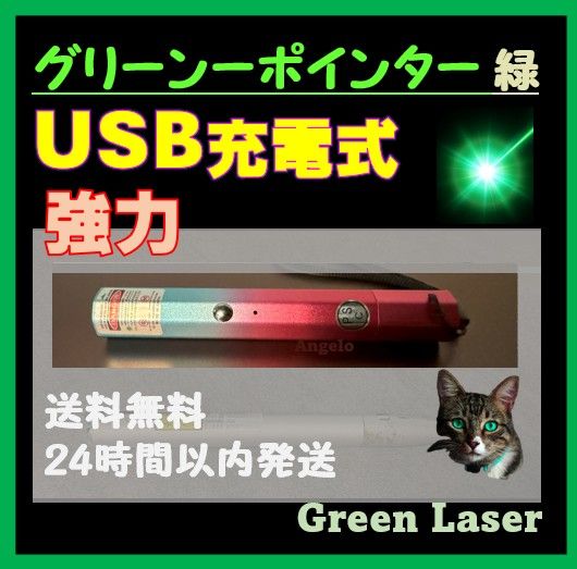 USB充電式　緑レーザーポインター　強力光線　高評価　カラス撃退　ねこおもちゃ