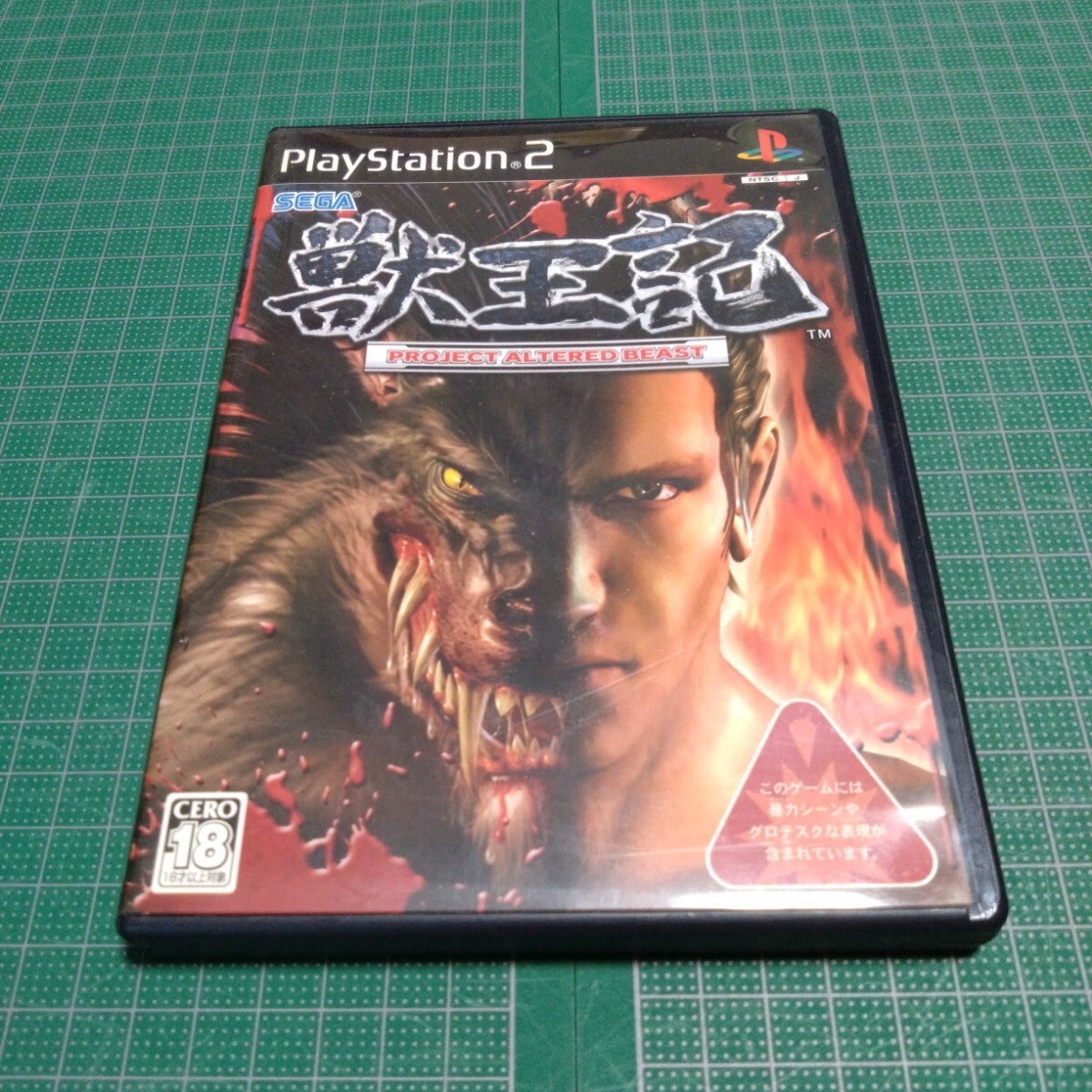 獣王記 -PROJECT ALTERED BEAST-　プレイステーション2　セガ　SEGA_画像1