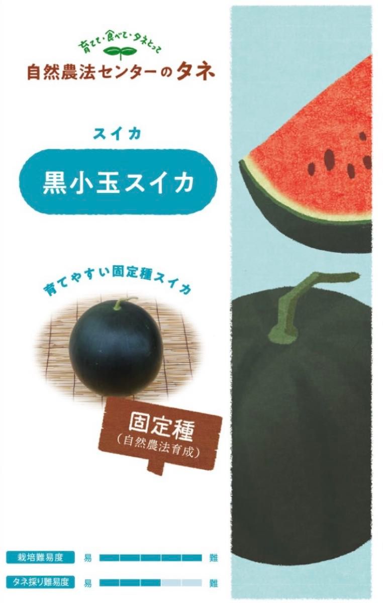【国内育成・採取】 黒小玉スイカ 家庭菜園 種 スイカ 野菜 果物 フルーツ