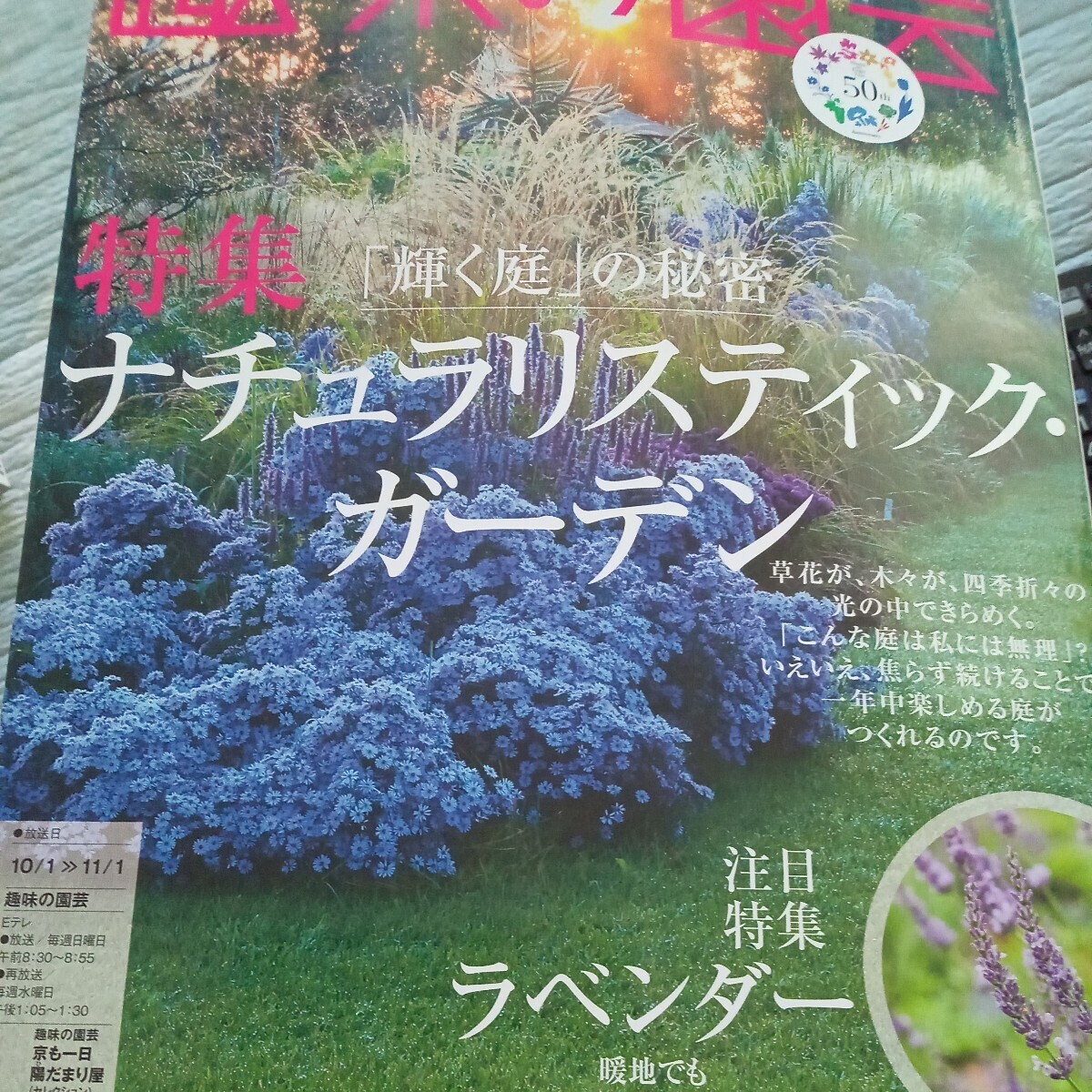 nachulali палочка сад лаванда роза NHK хобби. садоводство 2023 год 10 месяц номер (NHK выпускать )