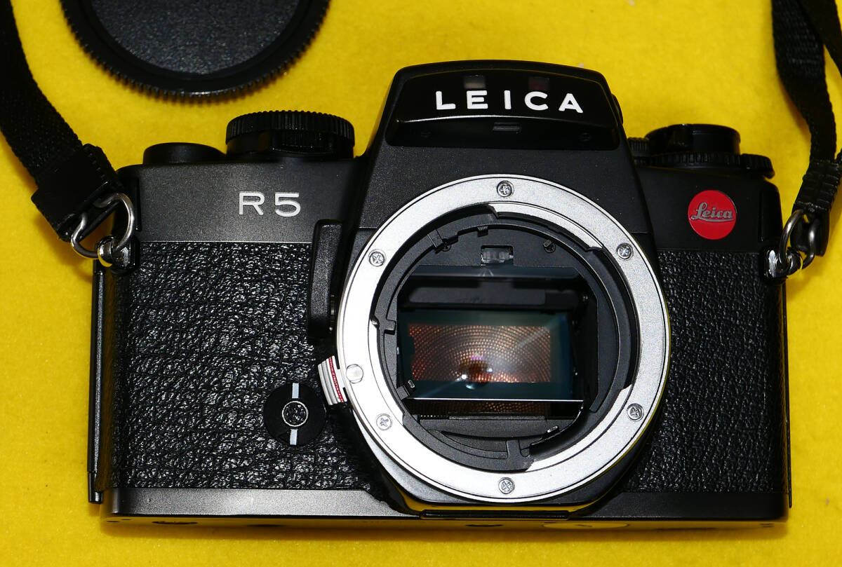 Leica ライカ R5ボディ ＋ 35ｍｍＦ2.8 ELMARIT-R 美品 動作問題なしの画像2