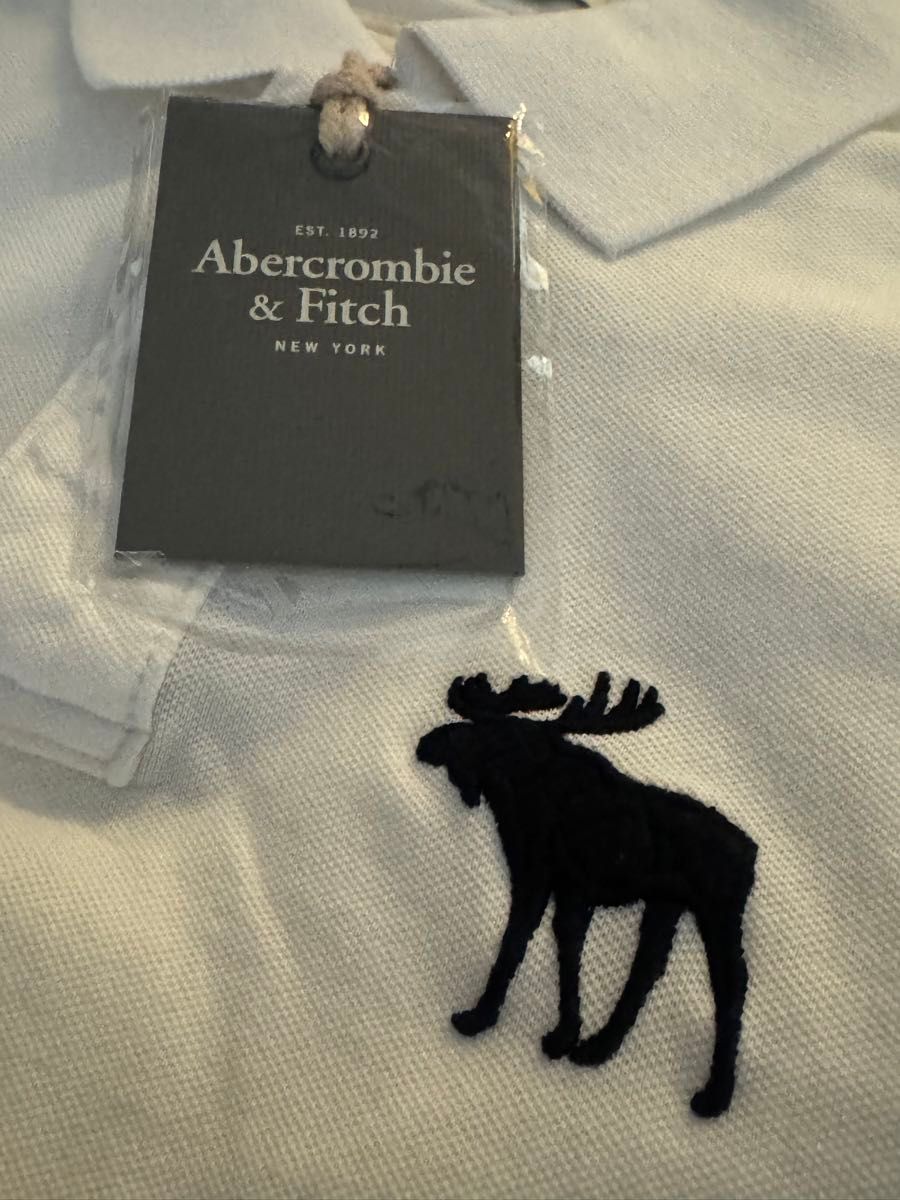 Abercrombie & Fetch アバクロ ポロシャツ 三層タグ期