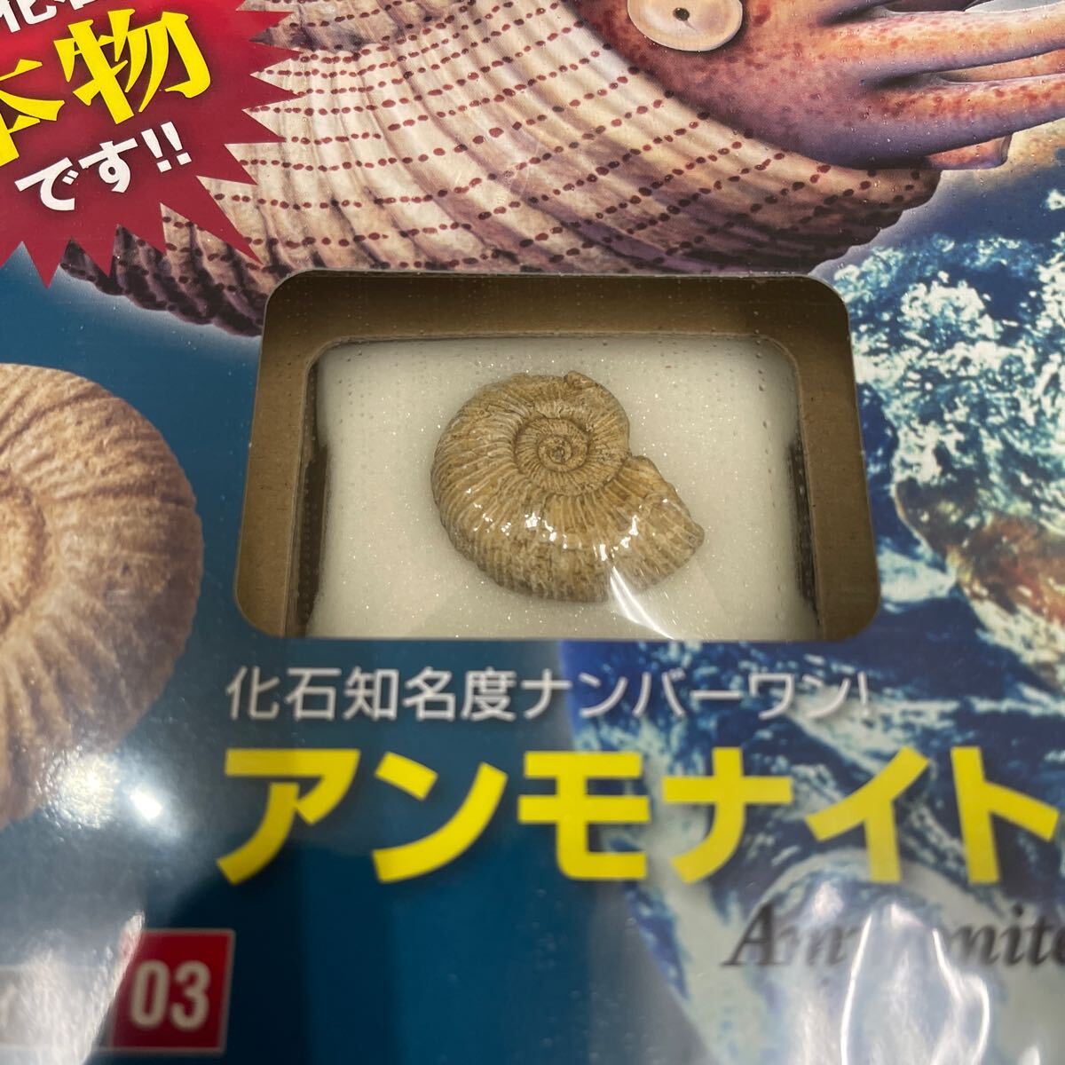 複　Y501. 2. 未開封 化石付き 月刊化石コレクション NO.03 地球と古生物のミステリー・ロマン　保管品　シュリンク付き　_画像2